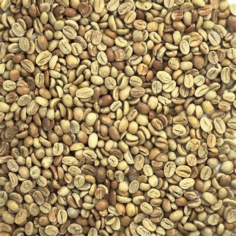 Honduran Org. 18 Rabbit Microlot - Natural Processed