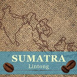 Sumatra Lintong 2 Year Aged Coffee